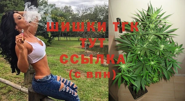 молекула духа Алексин