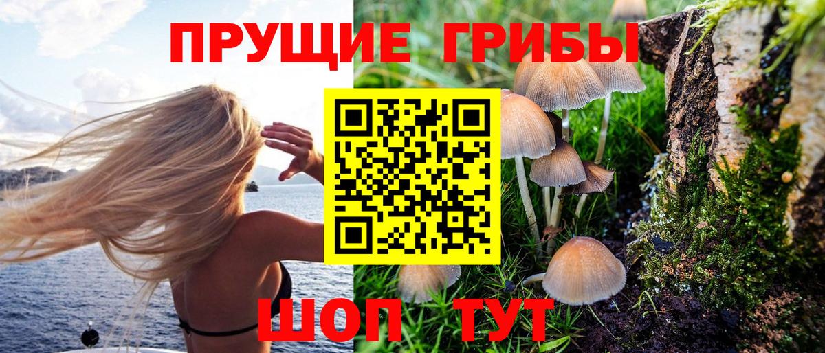 Псилоцибиновые грибы GOLDEN TEACHER Чайковский